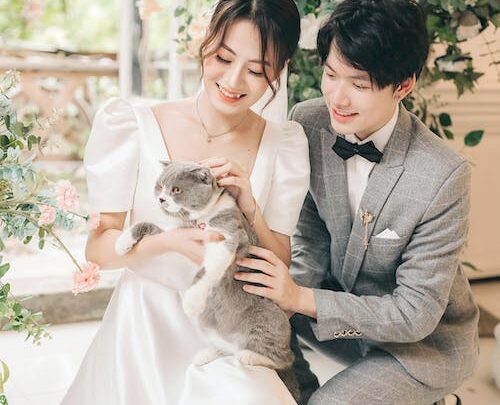 Wedding with Cat