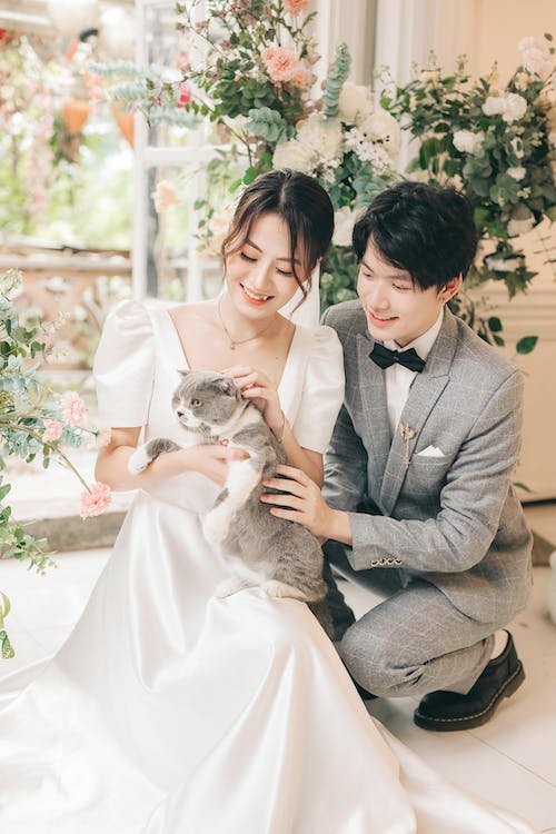 Wedding with Cat